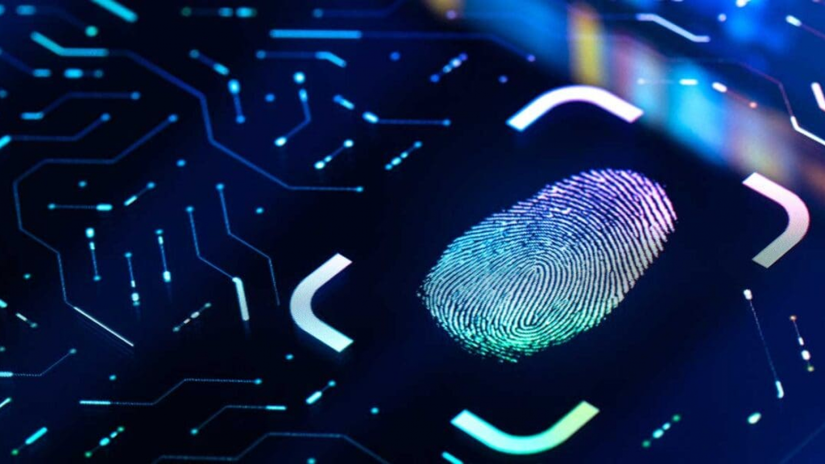 blue digital fingerprint